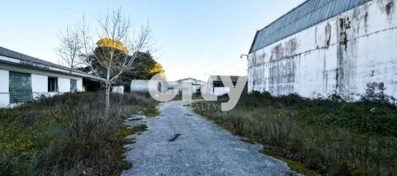 19568m² Warehouse in Cartaxo, Portugal No. 90933 11