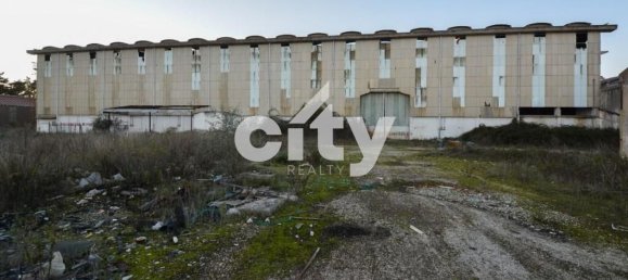 19568m² Warehouse in Cartaxo, Portugal No. 90933 4