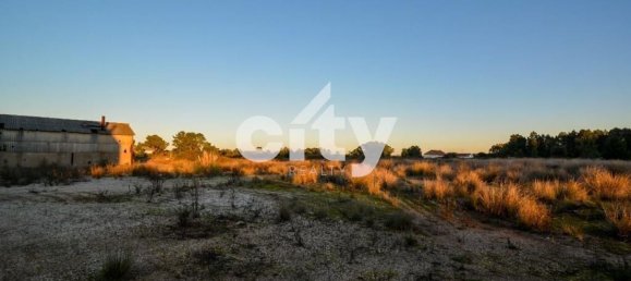 19568m² Warehouse in Cartaxo, Portugal No. 90933 24