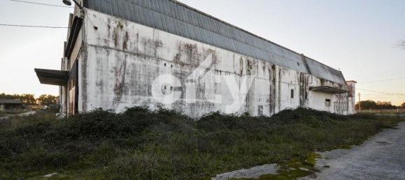19568m² Warehouse in Cartaxo, Portugal No. 90933 6