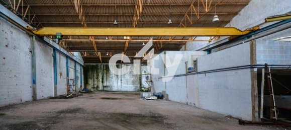 19568m² Warehouse in Cartaxo, Portugal No. 90933 15