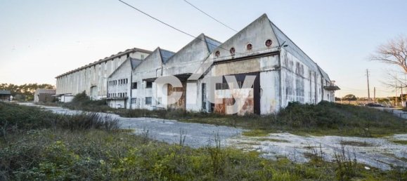 19568m² Warehouse in Cartaxo, Portugal No. 90933 13
