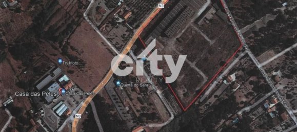 19568m² Warehouse in Cartaxo, Portugal No. 90933 9