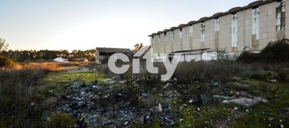 19568m² Warehouse in Cartaxo, Portugal No. 90933 3