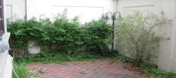 5 bedrooms Villa in Tay Ho, Vietnam No. 5767 6