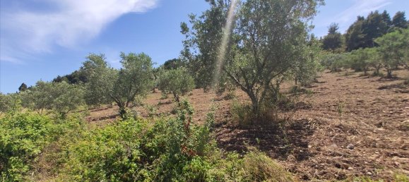 20000m² Hotel in Chalkidiki, Greece No. 4163 9