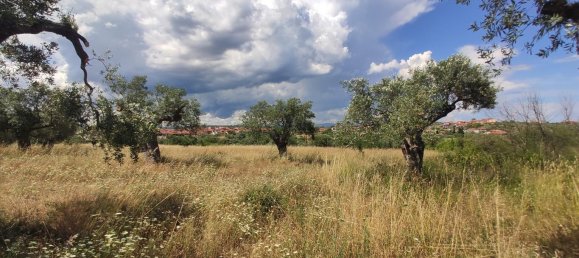 20000m² Hotel in Chalkidiki, Greece No. 4163 12