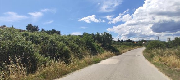 20000m² Hotel in Chalkidiki, Greece No. 4163 3