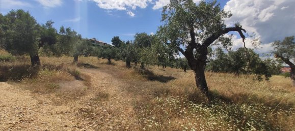 20000m² Hotel in Chalkidiki, Greece No. 4163 11