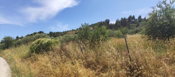 20000m² Hotel in Chalkidiki, Greece No. 4163 6