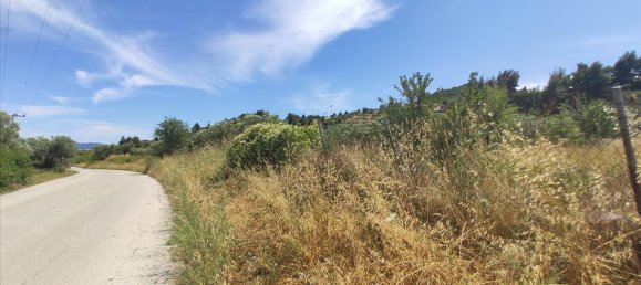 20000m² Hotel in Chalkidiki, Greece No. 4163 5