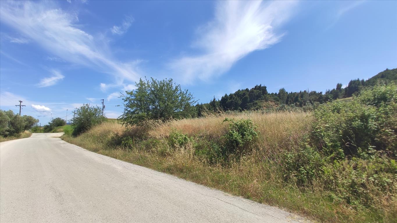 20000m² Hotel in Chalkidiki, Greece No. 4163