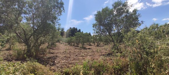 20000m² Hotel in Chalkidiki, Greece No. 4163 8