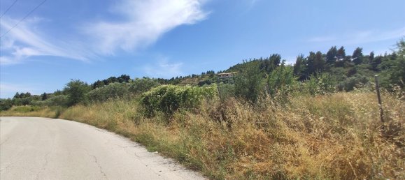 20000m² Hotel in Chalkidiki, Greece No. 4163 7