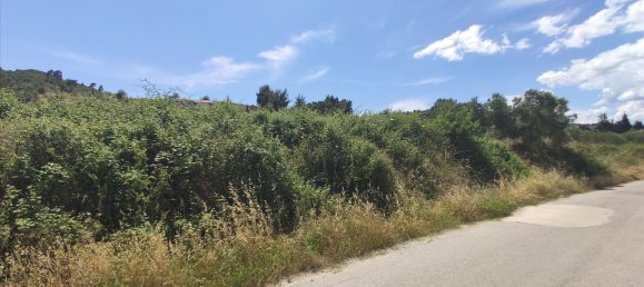 20000m² Hotel in Chalkidiki, Greece No. 4163 2