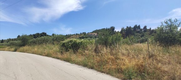 20000m² Hotel in Chalkidiki, Greece No. 4163 4