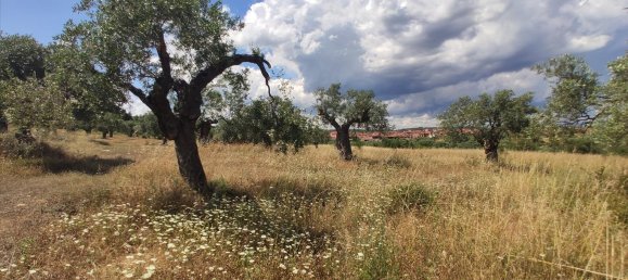 20000m² Hotel in Chalkidiki, Greece No. 4163 10