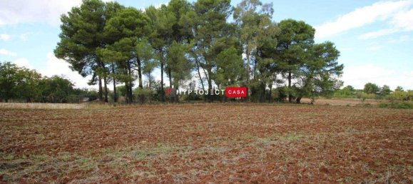 Grundstück in Martina Franca, Italy 6500m², Nr. 128643 4