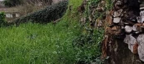 3 rooms House in Carrara, Italy No. 44316 6