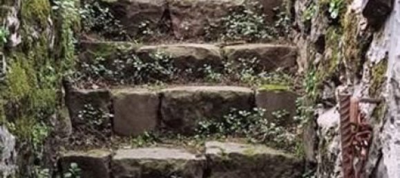 3 rooms House in Carrara, Italy No. 44316 7