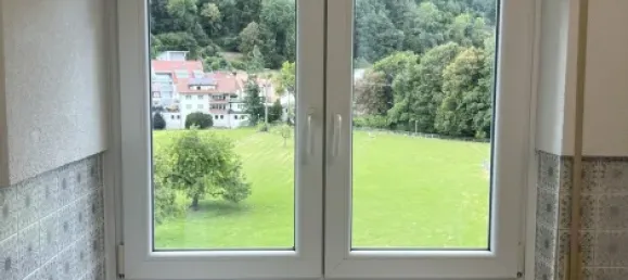 1 chambre Appartement à Freiburg im Breisgau, Germany No. 333186 15