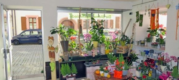 5 Schlafzimmer Gebäude in Amberg-Sulzbach, Germany, Nr. 162384 20