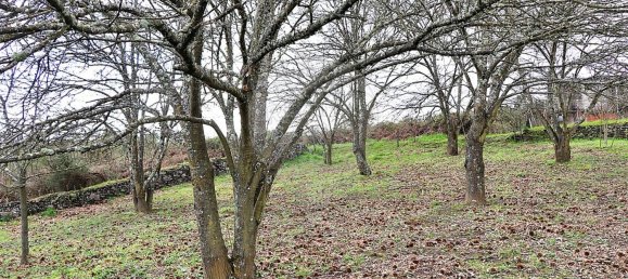 5 Schlafzimmer Haus in Santa Marta de Penaguiao, Portugal, Nr. 181670 29