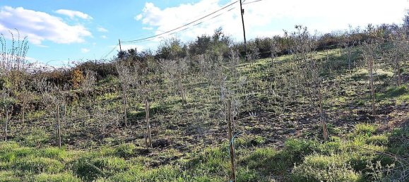 5 Schlafzimmer Haus in Santa Marta de Penaguiao, Portugal, Nr. 181670 28