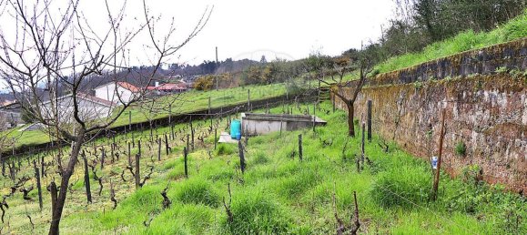 5 Schlafzimmer Haus in Santa Marta de Penaguiao, Portugal, Nr. 181670 25