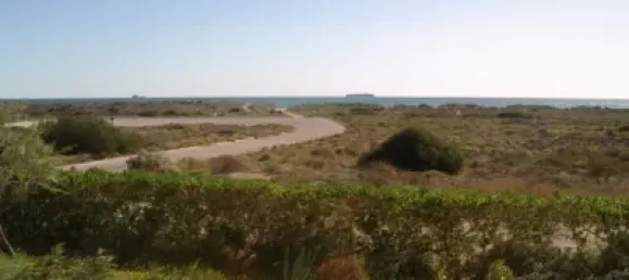 Apartamento T2 em El Saler, Spain N.º 174156 15