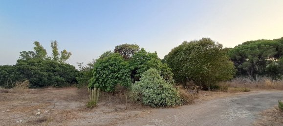 Casa T16 em Alghero, Italy N.º 332463 31