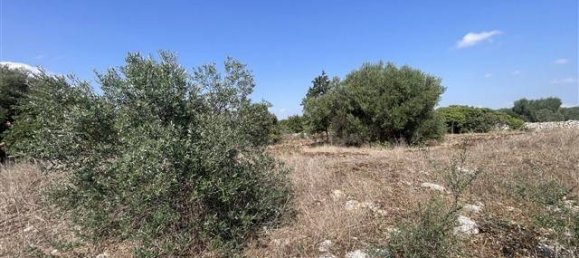 Casa T1 em Putignano, Italy N.º 154350 5