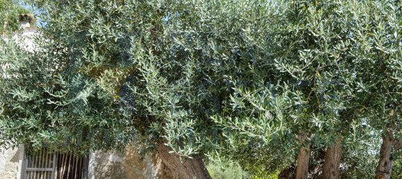 استوديو في Noto, Italy رقم 286748 20