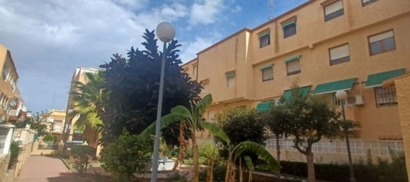 3 Schlafzimmer Haus in Torrevieja, Spain, Nr. 191303 6