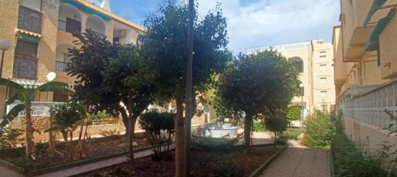 3 Schlafzimmer Haus in Torrevieja, Spain, Nr. 191303 7