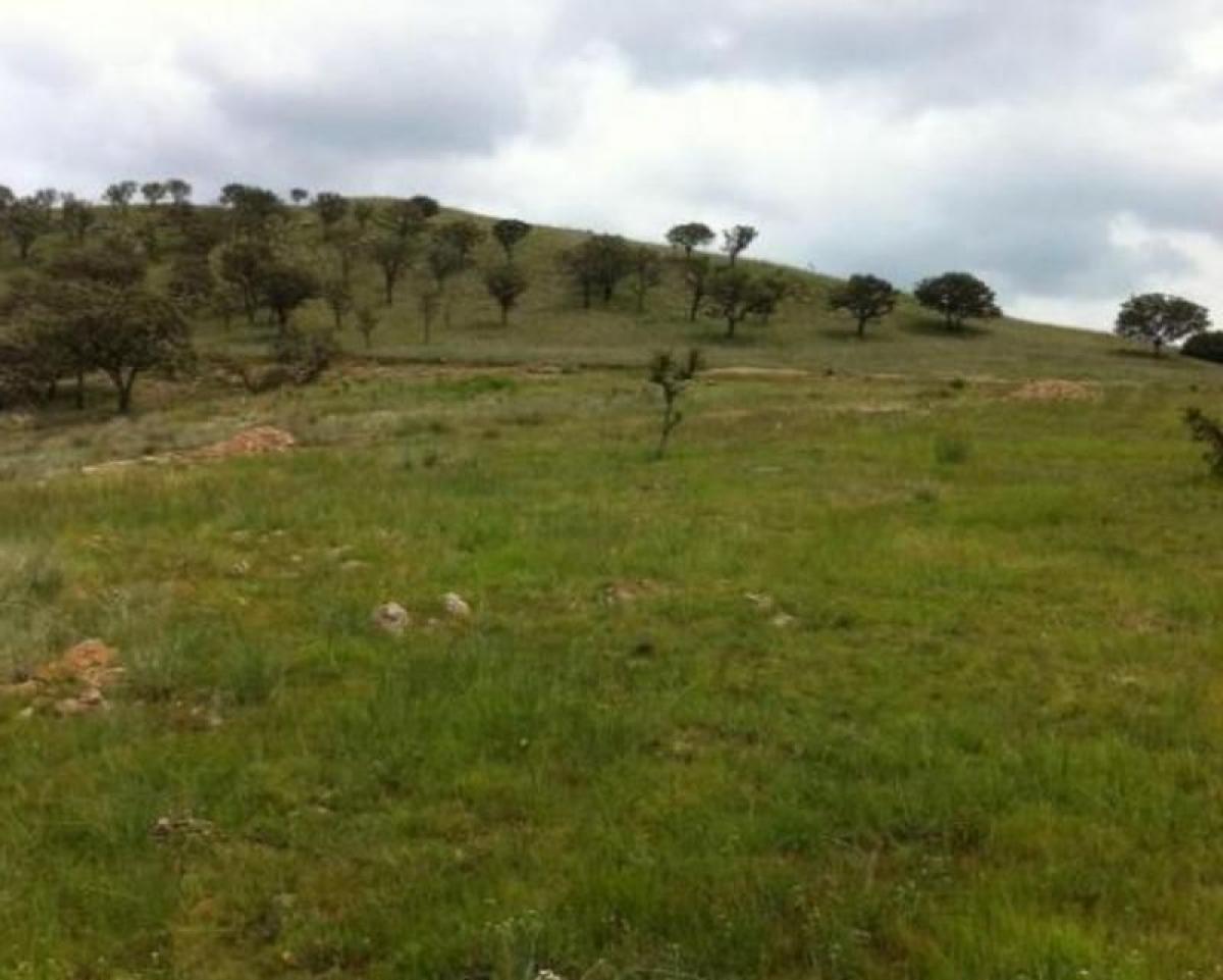 Edifício em Zapopan, Mexico N.º 201494