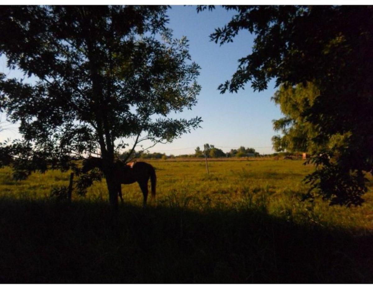  Land in Santa Fe, Argentina No. 36026