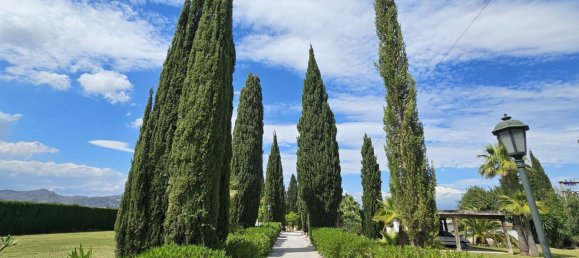 5 bedrooms Villa in Alhaurin de la Torre, Spain No. 146487 33