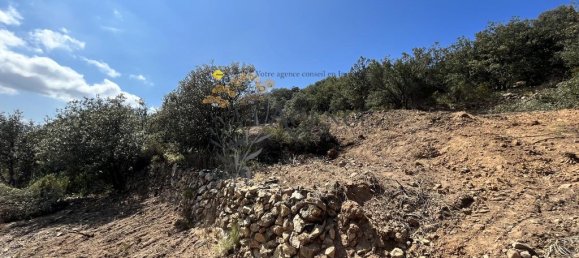  Land in Monticello, France No. 89227 3