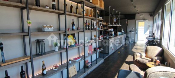 110m² Commercial property in Piove di Sacco, Italy No. 364014 14