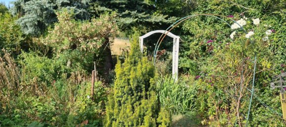 2 bedrooms House in Elbe-Elster, Germany No. 348711 32