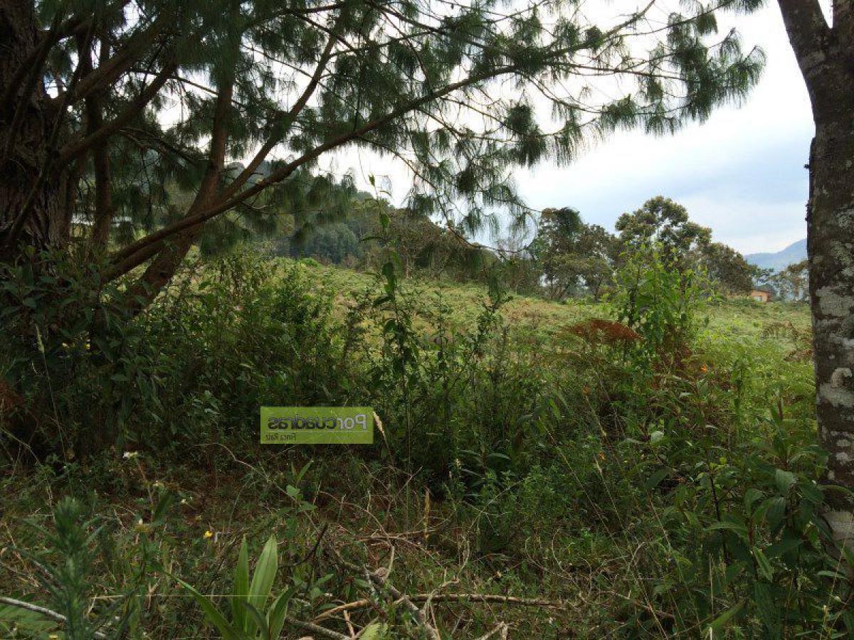  Land in Antioquia, Colombia No. 526