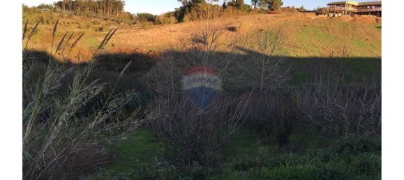 Terreno en Alcobaca, Portugal 9400 m² No. 61967 2