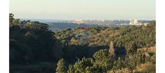 Terreno en Alcobaca, Portugal 9400 m² No. 61967 6