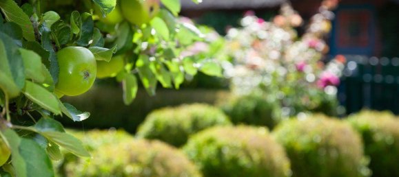 15 bedrooms House in Cuxhaven, Germany No. 350120 14