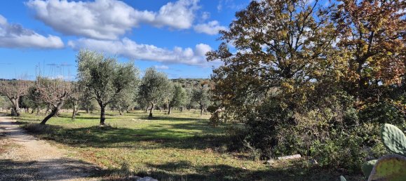 قطعة أرض في Ostuni, Italy 9600متر مربع رقم 273119 7