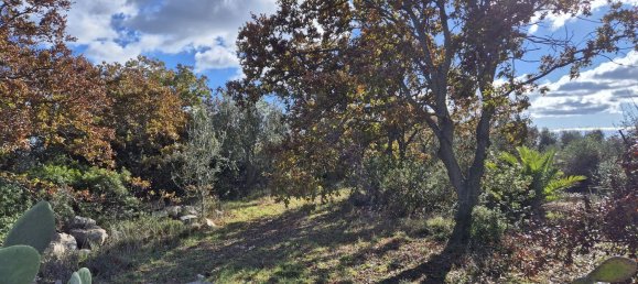 قطعة أرض في Ostuni, Italy 9600متر مربع رقم 273119 8