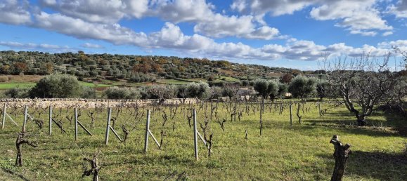 قطعة أرض في Ostuni, Italy 9600متر مربع رقم 273119 2