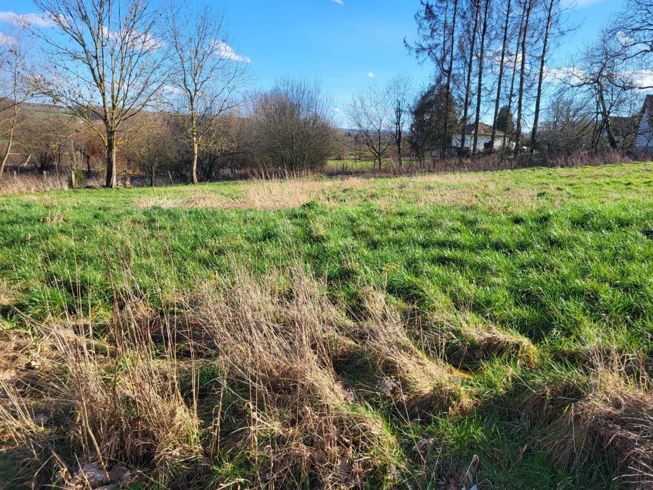  Land in Manspach, France No. 77549