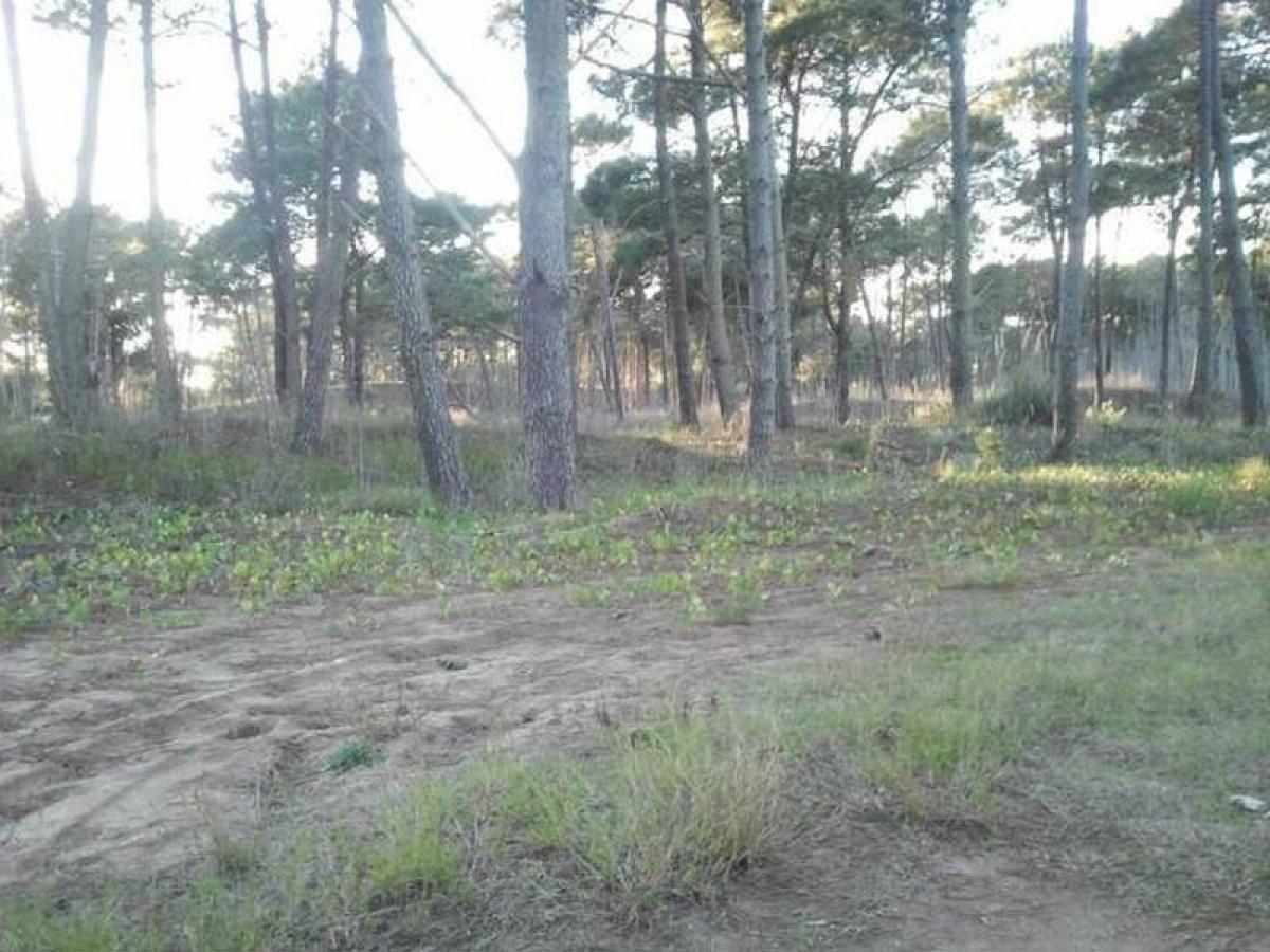  Land in Mar del Plata, Argentina No. 120674